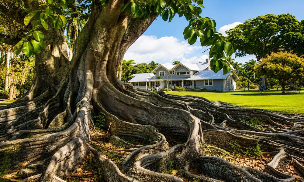 Fort Myers Historische Edison Estates